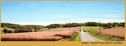 Easker Autumn View